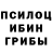 Псилоцибиновые грибы мухоморы Hailey K
